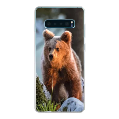 Produktbild von MuchoWow® Handyhülle Schutzhülle Hülle für Samsung Galaxy S10 Plus Bär - Braun - Tier Silikon Softcase Handy Hülle - Schutzhülle