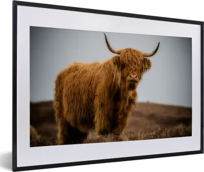 Produktbild von MuchoWow® Gerahmtes Poster Schottischer Highlander - Düne - Gras 60x40 cm - Poster mit Schwarzem Bilderrahmen Wandposter Rahmen Foto Bilder - Schlafzimmer - Plakat in Rahmen - Drucken