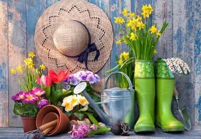 Productafbeelding van Bluebird Puzzle: Tuinpuzzel, klaar voor de tuin - 1000 stukjes, bloemenmotief