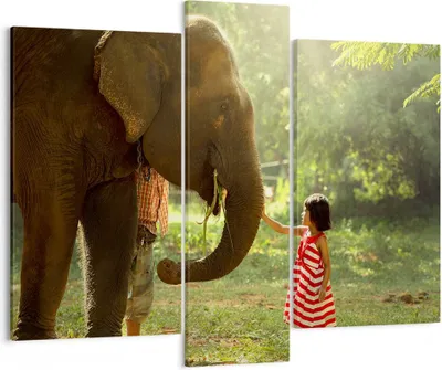 Produktbild von Bild auf Leinwand - Leinwandbild - Elefant Tier - 95x80cm - Wand Bild - Wanddeko - Wandbilder - Leinwanddruck - Bilder - Kunstdruck - Wanddekoration - Leinwand bilder - Wandkunst - CB95x80-3884