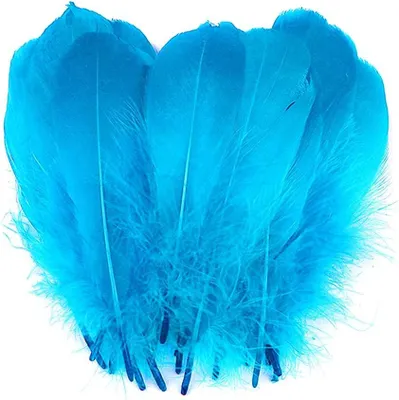 Produktbild von 100 Stück Bunte Naturfedern, 12-18 cm, Gänsefedern, für kreative Bastelarbeiten