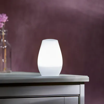 A white, egg-shaped LED light sits on a gray surface in front of a blurred purple background. A glass vase with pink flowers is visible to the left.