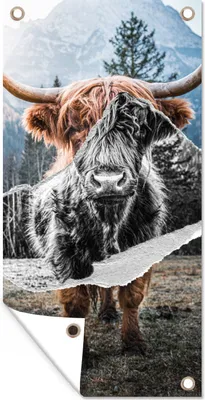 Produktbild von MuchoWow® 30x60 cm Outdoor-Poster Gartendeko Sichtschutz Garten Poster für den Garten  Schottischer Highlander - Kuh - Tiere