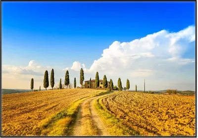 Produktbild von Wallario Wandbild Italien - Toskana unter blauem Himmel  einsame Farm, Größe: 70,30 x 100,30 cm, Poster mit schwarzem Aluminiumrahmen