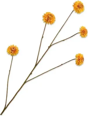 Produktbild von Warentuin Producten