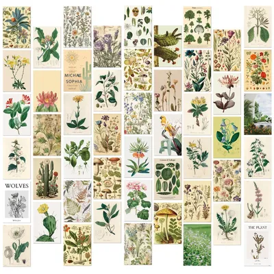 Obrázok produktu pre Sada 50 vintage botanických pohľadníc na kreatívne dekorácie
