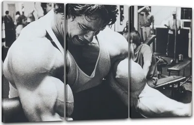 Produktbild von Leinwandbild 3-teilig (120x80cm): Arnold Schwarzenegger, echter Holz-Keilrahmen inkl. Aufhänger, handgefertigt in Deutschland