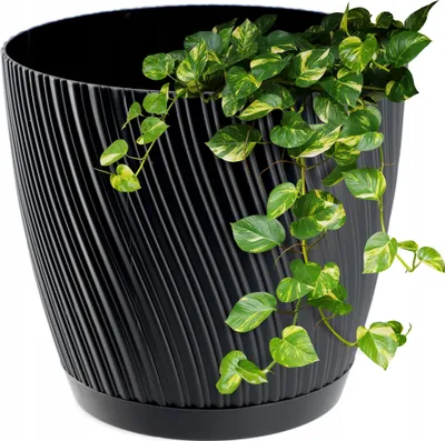 Produktbild von KADAX Blumentopf mit Untersetzer "Tubas", Blumenkübel, Pflanztopf aus Kunststoff, Übertopf, rund, 13 cm, Anthrazit