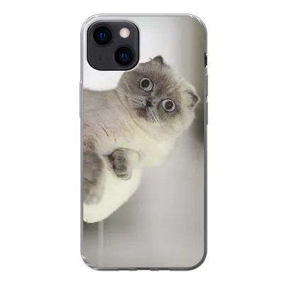 Produktbild von MuchoWow® Handyhülle Schutzhülle Hülle für iPhone 13 Katze - Tier - Wohnzimmer Silikon Softcase Handy Hülle - Karteninhaber