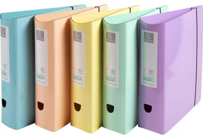 Zdjęcie produktu dla Exacompta 6x A4 Prem'Touch folders round spine 80mm Aquarel assorted 53760E