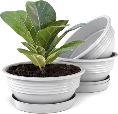 Produktbild von Plastard Blumenschale 3er Set Weiss Ø 25 cm mit Untersetzer - Pflanzschale