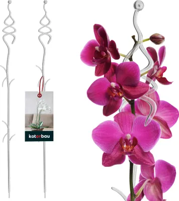 Produktbild von KOTARBAU® 2er Set Pflanzenstütze Transparent PVC 55 cm Tannenbaum Blumenstütze Rankhilfe Zimmerpflanzen Blumenstütze Garten Orchideenstab Stützstab Pflanzen dekorative Pflanzenhalter Zimmerpflanzen Ra