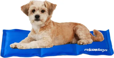 Produktbild von Relaxdays Kühlmatte Hund, selbstkühlend, abwischbar, robust, mit Gel, Kühldecke für Tiere, Kältedecke 20 x 35 cm, blau