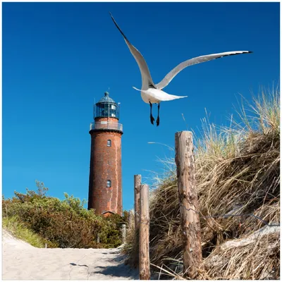 Produktbild von Wallario Premium Glasbild, freischwebende Optik, kräftige Farben, Größe 30 x 30 cm Motiv Möwe am Strand mit Leuchtturm