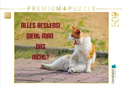 Produktbild von CALVENDO Puzzle Katze im Gereiztmodus | 500 Teile Lege-Größe 48 × 36 cm Foto-Puzzle für Erwachsene