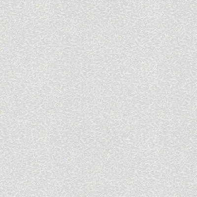 Zdjęcie produktu dla A.S. Création tapeta włókninowa Meistervlies Pro Protect 2, biała, do malowania, 25,00 m x 1,06 m, 643018, 6430-18
