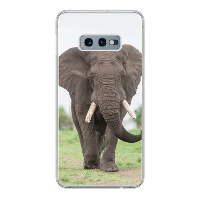 Produktbild von MuchoWow® Handyhülle Schutzhülle Hülle für Samsung Galaxy S10e Elefant - Tiere - Gras - Natur Silikon Softcase Handy Hülle - Handy