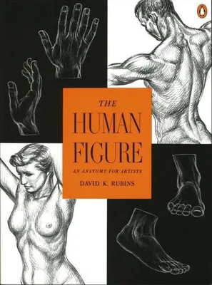 Obrázek produktu pro The Human Figure