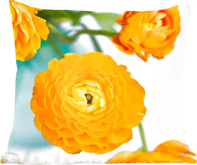 Produktbild von MuchoWow® Zierkissen Sofakissen Wohnzimmer Dekokissen 45x45 cm Blumen - Draußen - Orange - Schlafpolster - Polster für das Sofa