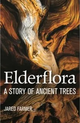 Immagine prodotto di Elderflora