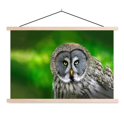 Produktbild von MuchoWow® Textilposter Vogel - Eule - Tiere - Braun - Porträt 60x40 cm mit holzfarbenen Rahmen - Bilder