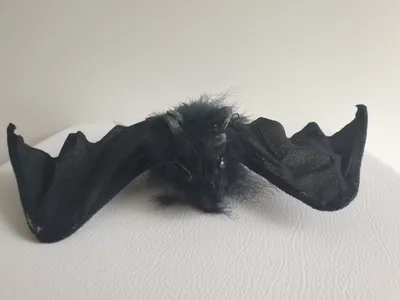 Produktbild von K80541589 schwarz kleine Deko Fledermaus