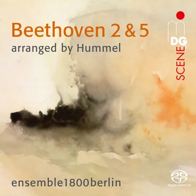 Produktbild von Beethoven 2 & 5