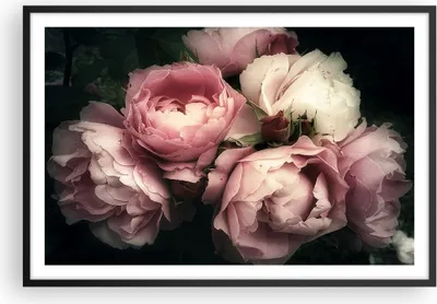 Produktbild von Gerahmtes Poster - Schwarzer Rahmen - Pfingstrose Blume - 91,5x61 cm - Wand Bild - Wanddeko - Wandbilder - Kunstposter - Wandposter - Bilderrahmen - Bilder - Kunstdruck - Wandbild - P2BAA91x61-3930