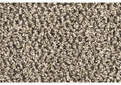 Image de Entrée Schoonloopmat 60 x 90 cm taupe