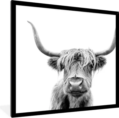 Produktbild von MuchoWow® Gerahmtes Poster Schottischer Highlander - Schwarz - Weiß - Tiere 40x40 cm - Poster mit Schwarzem Bilderrahmen Wandposter Rahmen Foto Bilder - Mit Rahmen - Wanddekoration Schlafzimmer
