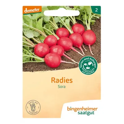 Produktbild von Bingenheimer Saatgut Radies Sora 1 Stück