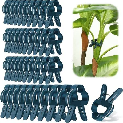 Image de Pinces à plantes pour plantes grimpantes et tomates
