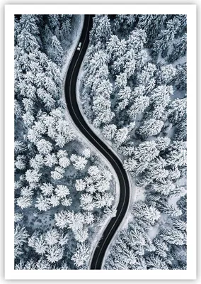 Produktbild von Poster - Poster ohne Rahmen - Wald Winter Straße - 70x100 cm - Wand Bild - Wanddeko - Wandbilder - Kunstposter - Wandposter - Bilder - Kunstdruck - Wanddekoration - Wandbild - P2XPA70x100-5010