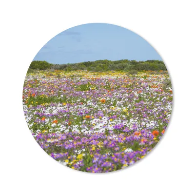 Produktbild von MuchoWow® Mauspad Mousepad Blumenwiese - Lila - Blumen 20x20 cm - Mousepads - Maus Mat - Pad - Mausunterlage - Schreibtischmatte
