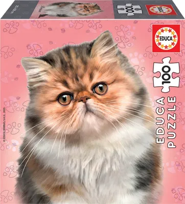 Image de EDUCA Puzzle de chat persan 100 pièces