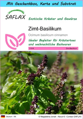 Produktbild von SAFLAX - Geschenk Set - Kräuter - Zimt-Basilikum - 200 Samen - Mit Geschenk- / Versandbox, Versandaufkleber, Geschenkkarte und Anzuchtsubstrat - Ocimum basilicum
