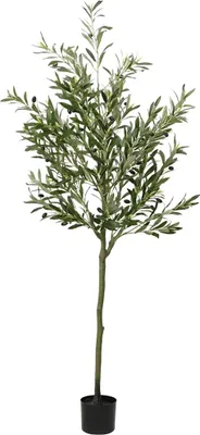 Obrázok produktu pre Umelý olivovník 700 listov 180 cm zelený