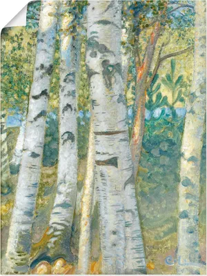 Produktbild von ARTland Poster Birkenstämme. 1910 Größe: 60x80 cm