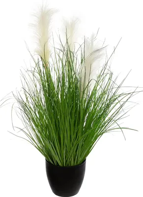 Produktbild von Atmosphera Ziergras Kunstpflanze - Grashalme - grun - H70 cm