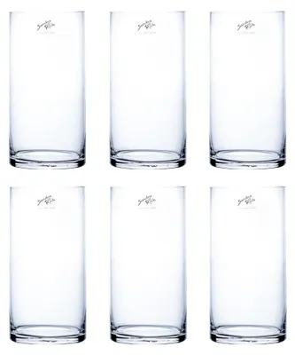 Produktbild von 6er Set Glasvasen Dekogläser CYLI COLD CUT Zylinder H. 20cm D. 10cm Sandra Rich