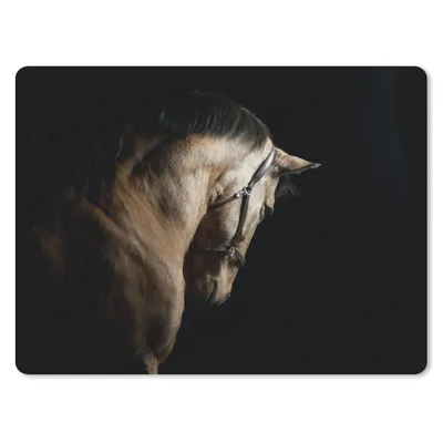Produktbild von MuchoWow® Mauspad Mousepad Pferde - Halfter - Schwarz 23x19 cm - Mousepads - Maus Mat - Pad - Mausunterlage - Schreibtischunterlage - Mauspad