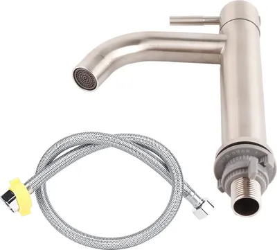 A single bathroom faucet with a flexible hose, isolated on a white background.