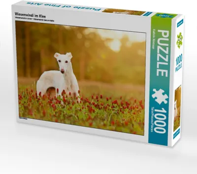 Produktbild von Calvendo Wiesenwindi im Klee 1000 Teile Puzzle quer 640x480mm, Köntopp Kathrin; 7447210