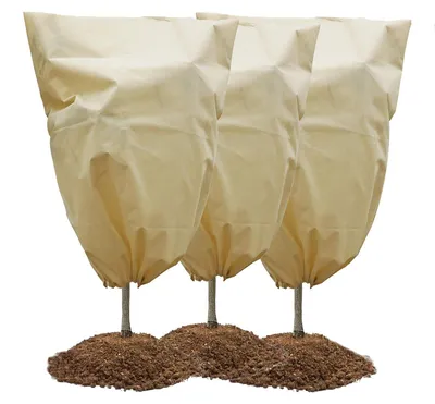 Image de Lot de 3 housses de protection hivernales pour plantes