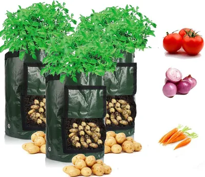 Produktbild von 3 Stück Pflanztasche Kartoffel Tomaten Erdnüsse Pflanzsack PE-Stoff Atmungsaktiv Dauerhaft Pflanzbeutel mit Tragegriffen (5 Gallon, Grün)