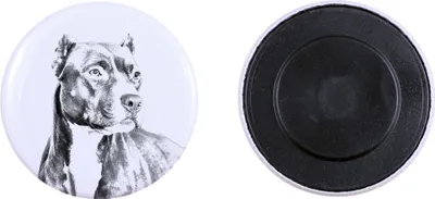 Produktbild von Pit Bull, American Pit Bull Terrier, Pitbull, APBT Magnet mit einem Hundepfotenabdruck, außergewöhnlich leicht, starker Magnet, handgefertigtes Produkt der Marke Art-Dog
