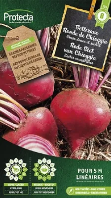 Productafbeelding van Protecta Groente zaden: Rode Biet van Chioggia