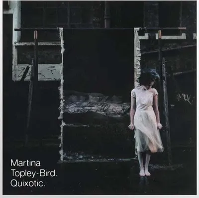 Immagine prodotto di Martina Topley-Bird - Quixotic (2 LP)
