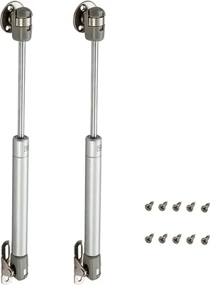 Two gas pressure springs and a set of screws on a white background.