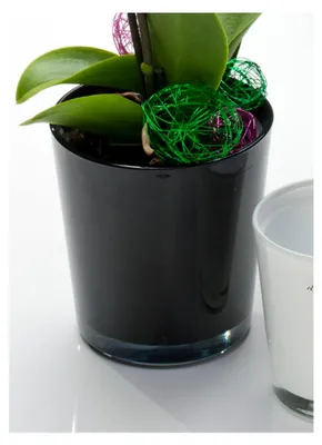 Produktbild von Orchideentopf Orchid schwarz konisch 13,5 cm hoch Ø 12,5 cm